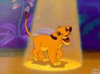simba snik